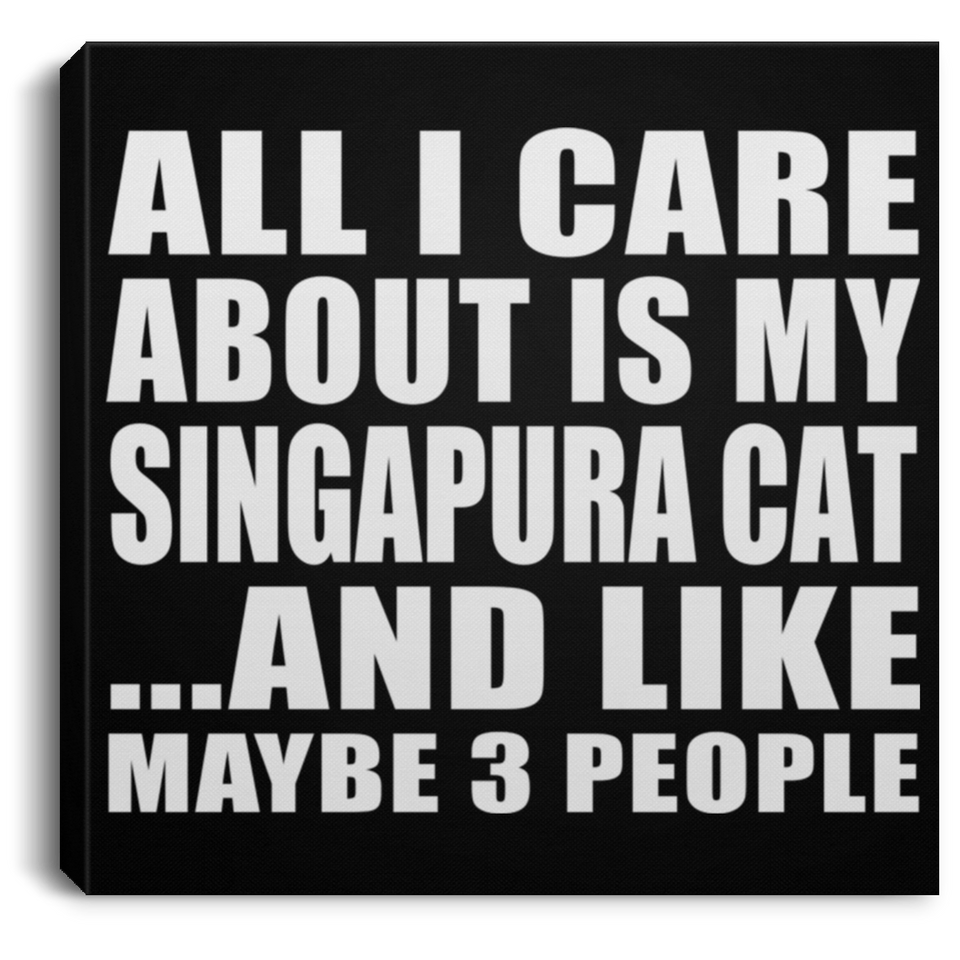 All I Care About Is My Singapura Cat - Canvas Square