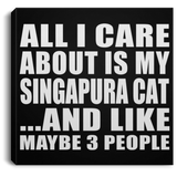 All I Care About Is My Singapura Cat - Canvas Square