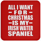 All I Want For Christmas Is My Irish Water Spaniel - Coaster