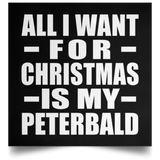 All I Want For Christmas Is My Peterbald - Poster Square