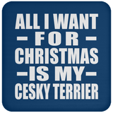 All I Want For Christmas Is My Cesky Terrier - Coaster