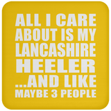All I Care About Is My Lancashire Heeler - Drink Coaster