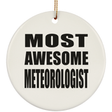 Most Awesome Meteorologist - Circle Ornament
