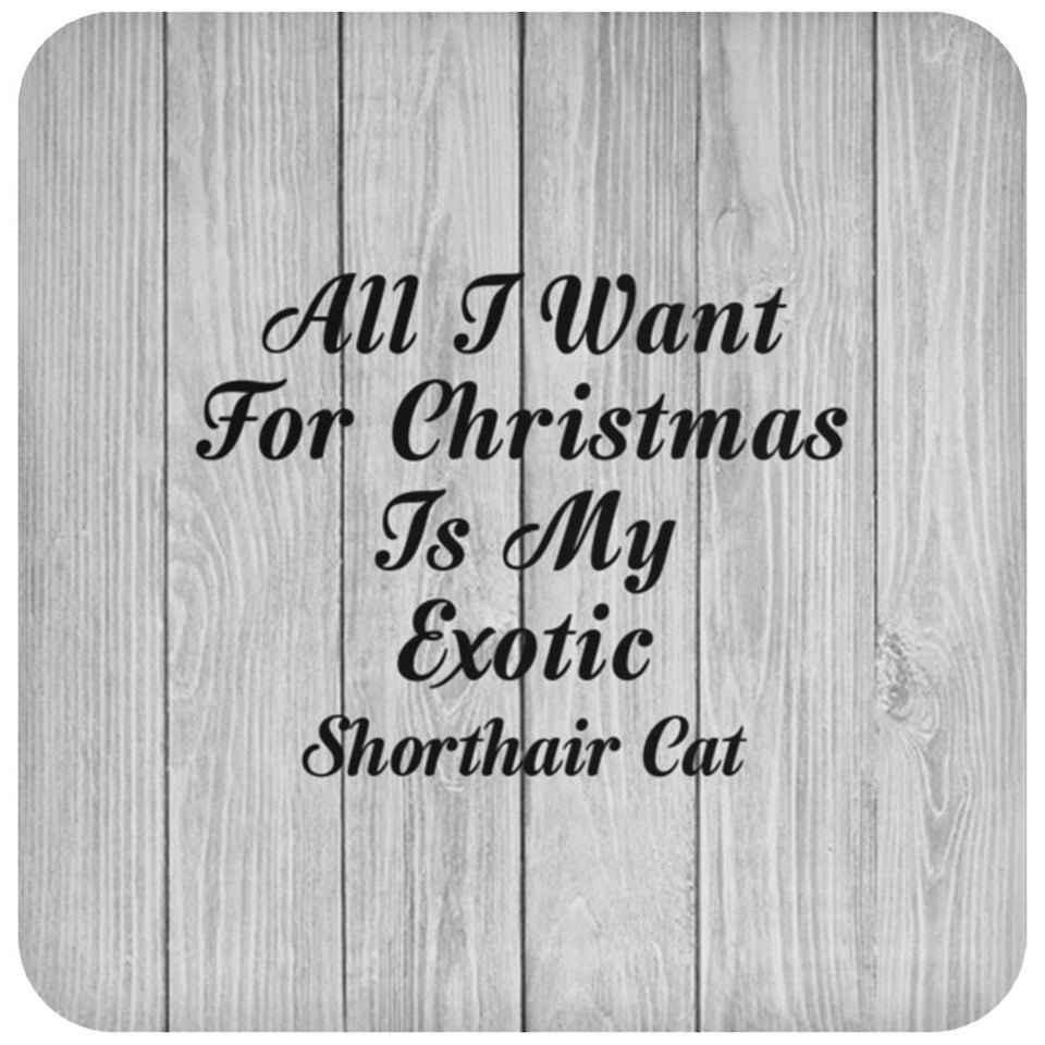 All I Want For Christmas Is My Exotic Shorthair Cat - Drink Coaster F