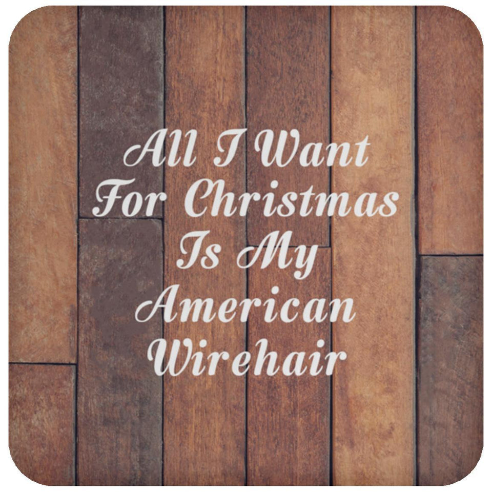 All I Want For Christmas Is My American Wirehair - Drink Coaster E