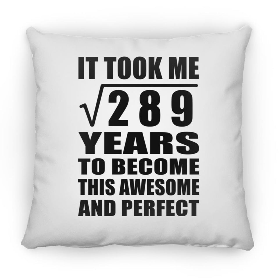 17th Birthday Took Square Root of 289 Years To Awesome - Throw Pillow