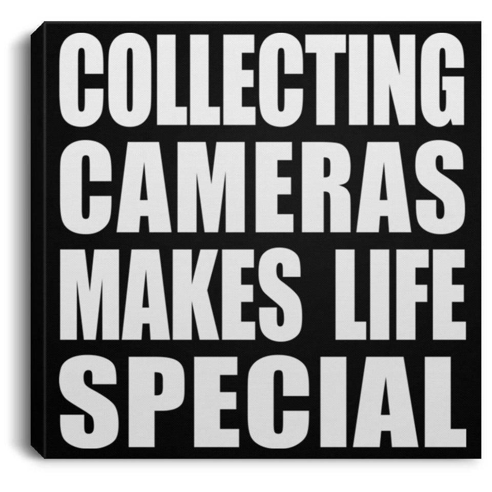 Collecting Cameras Makes Life Special - Canvas Square