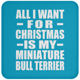 All I Want For Christmas Is My Miniature Bull Terrier - Coaster