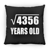 66th Birthday Square Root of 4356 Years Old - Throw Pillow Black
