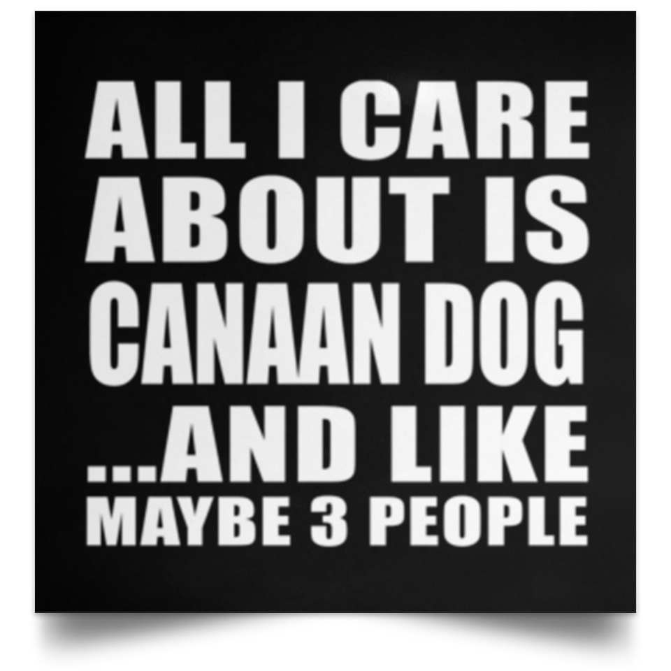 All I Care About Is Canaan Dog - Poster Square