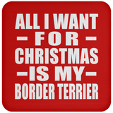 All I Want For Christmas Is My Border Terrier - Coaster