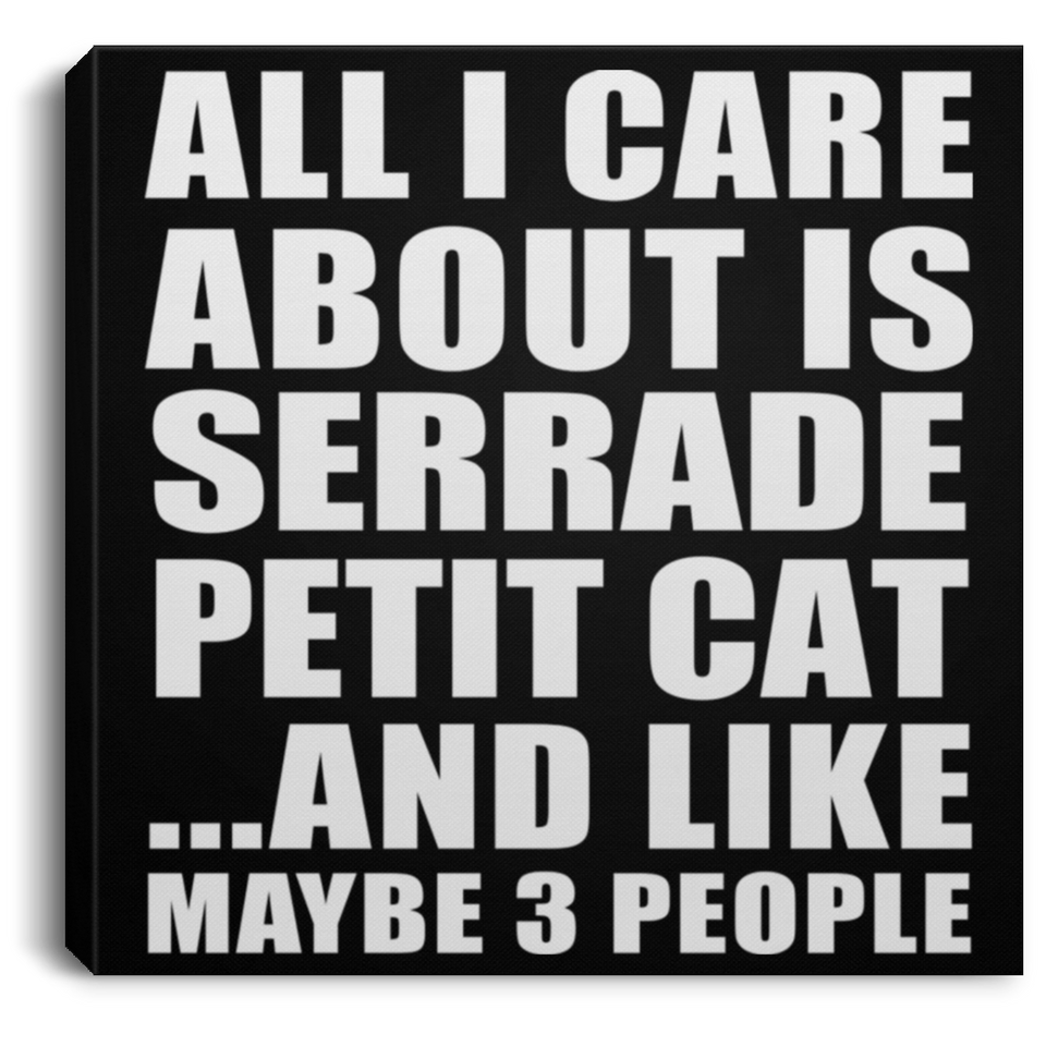 All I Care About Is Serrade Petit Cat - Canvas Square
