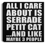 All I Care About Is Serrade Petit Cat - Canvas Square