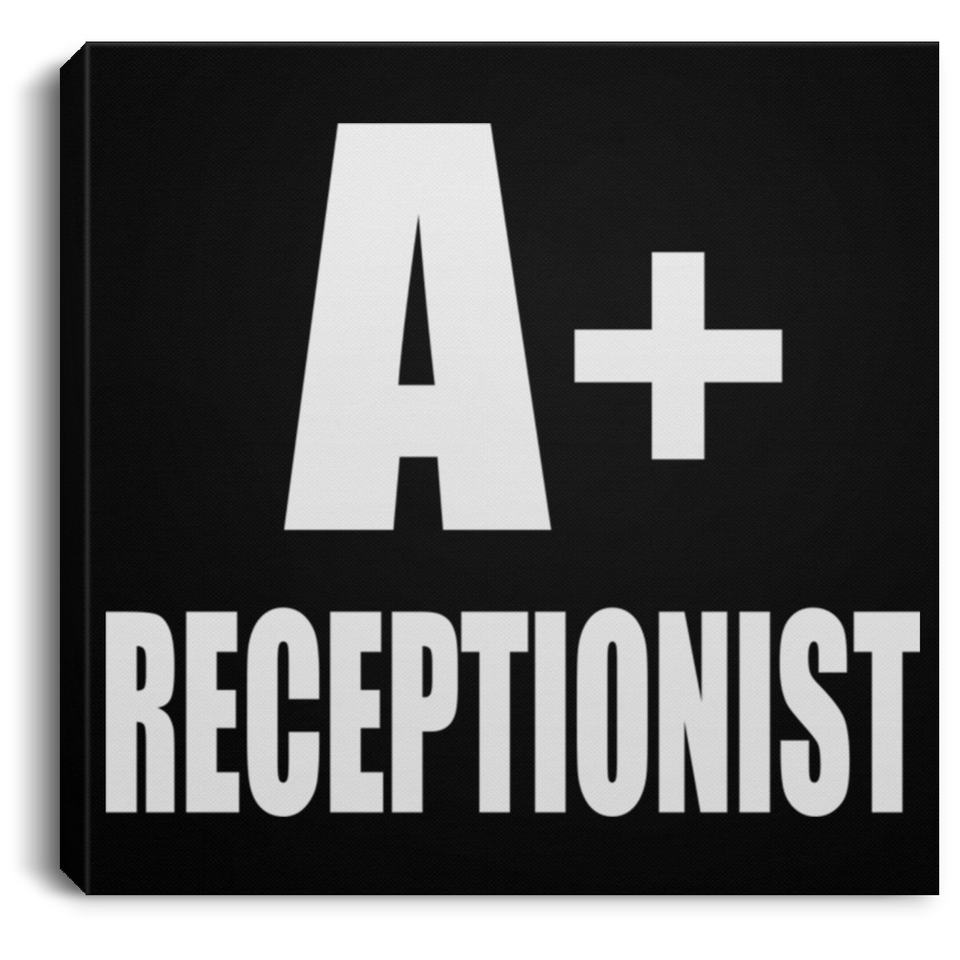 A+ Receptionist - Canvas Square