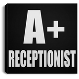A+ Receptionist - Canvas Square