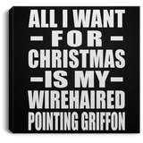 All I Want For Christmas Is My Wirehaired Pointing Griffon - Canvas Square