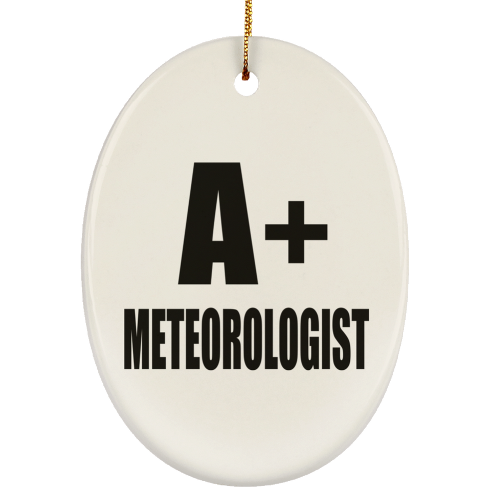 A+ Meteorologist - Oval Ornament
