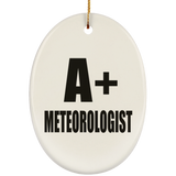 A+ Meteorologist - Oval Ornament