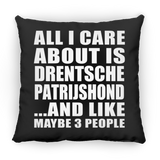 All I Care About Is Drentsche Patrijshond - Throw Pillow Black