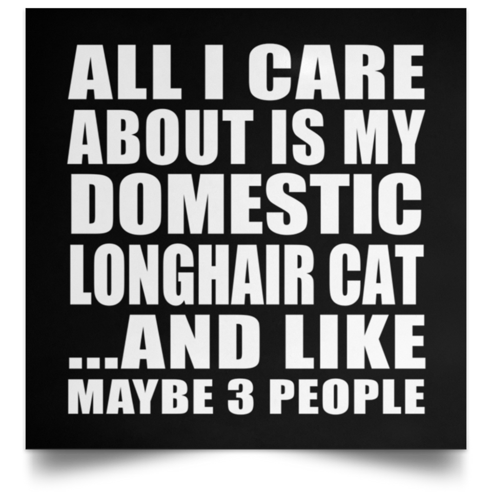 All I Care About Is My Domestic Longhair Cat - Poster Square