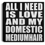All I Need Is Love And My Domestic Mediumhair - Canvas Square