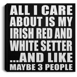 All I Care About Is My Irish Red And White Setter - Canvas Square