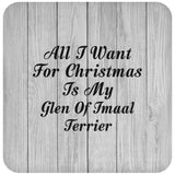 All I Want For Christmas Is My Glen Of Imaal Terrier - Drink Coaster F