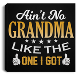 Ain't No Grandma Like The One I Got - Canvas Square