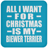All I Want For Christmas Is My Biewer Terrier - Coaster