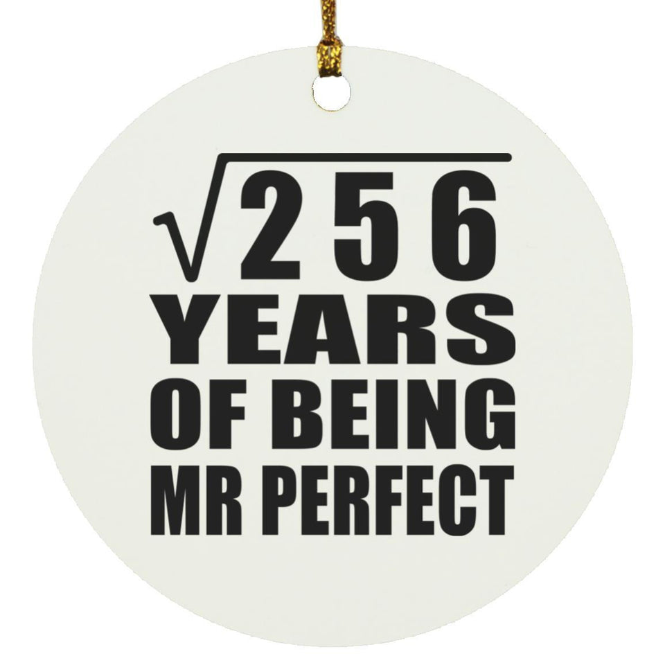 16th Anniversary Square Root of 256 Years of Mr Perfect - Circle Ornament