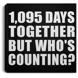 3rd Anniversary 1,095 Days Together But Who's Counting - Canvas Square
