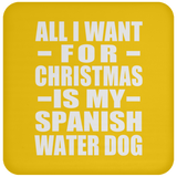 All I Want For Christmas Is My Spanish Water Dog - Coaster