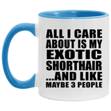 All I Care About Is My Exotic Shorthair - 11oz Accent Mug Blue