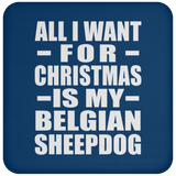 All I Want For Christmas Is My Belgian Sheepdog - Coaster