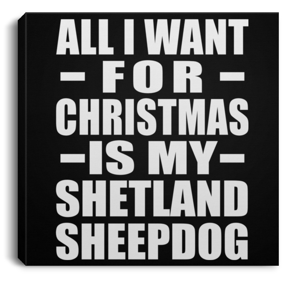 All I Want For Christmas Is My Shetland Sheepdog - Canvas Square