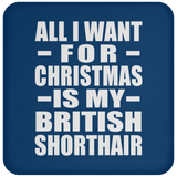 All I Want For Christmas Is My British Shorthair - Coaster