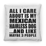 All I Care About Is My Mexican Hairless Dog - Throw Pillow