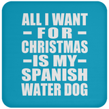 All I Want For Christmas Is My Spanish Water Dog - Coaster