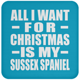 All I Want For Christmas Is My Sussex Spaniel - Coaster