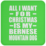 All I Want For Christmas Is My Bernese Mountain Dog - Coaster
