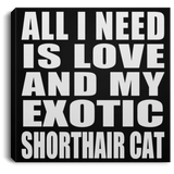All I Need Is Love And My Exotic Shorthair Cat - Canvas Square