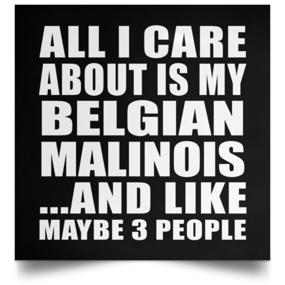 All I Care About Is My Belgian Malinois - Poster Square