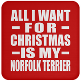 All I Want For Christmas Is My Norfolk Terrier - Coaster