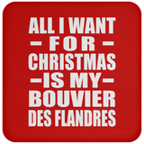 All I Want For Christmas Is My Bouvier Des Flandres - Coaster