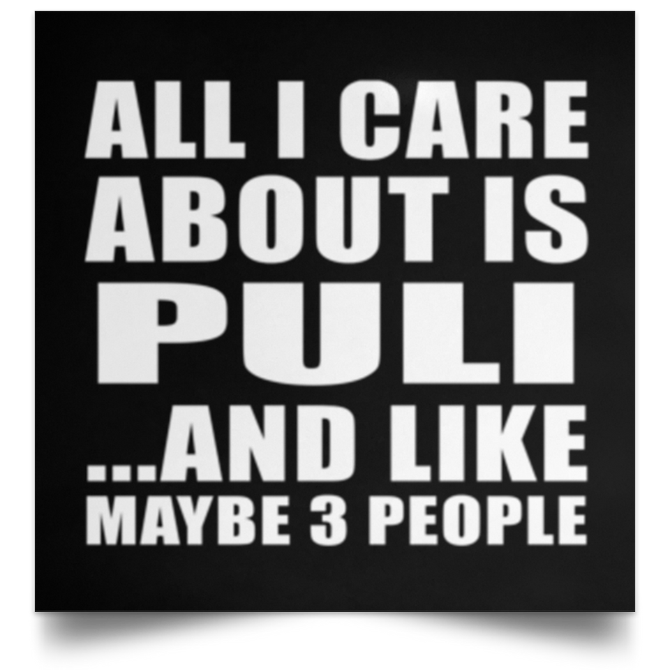 All I Care About Is Puli - Poster Square