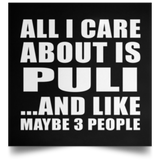 All I Care About Is Puli - Poster Square