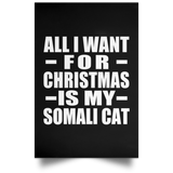 All I Want For Christmas Is My Somali Cat - Poster Portrait