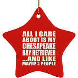 All I Care About Is My Chesapeake Bay Retriever - Star Ornament