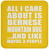 All I Care About Is Bernese Mountain Dog - Drink Coaster