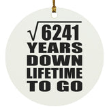 79th Anniversary Square Root of 6241 Years Lifetime To Go - Circle Ornament
